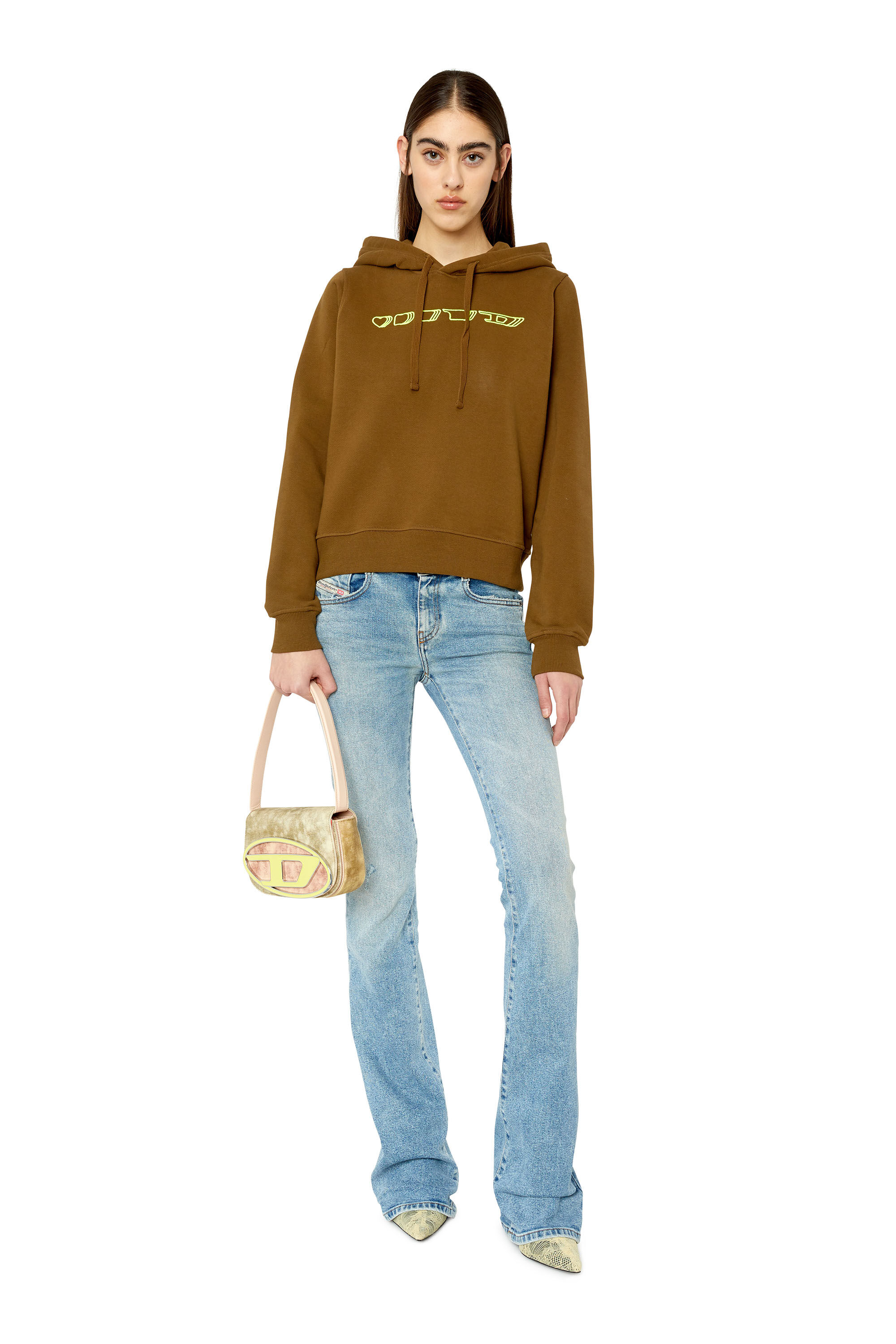 Diesel - F-REGGY-HOOD-G3, Brown - Image 1