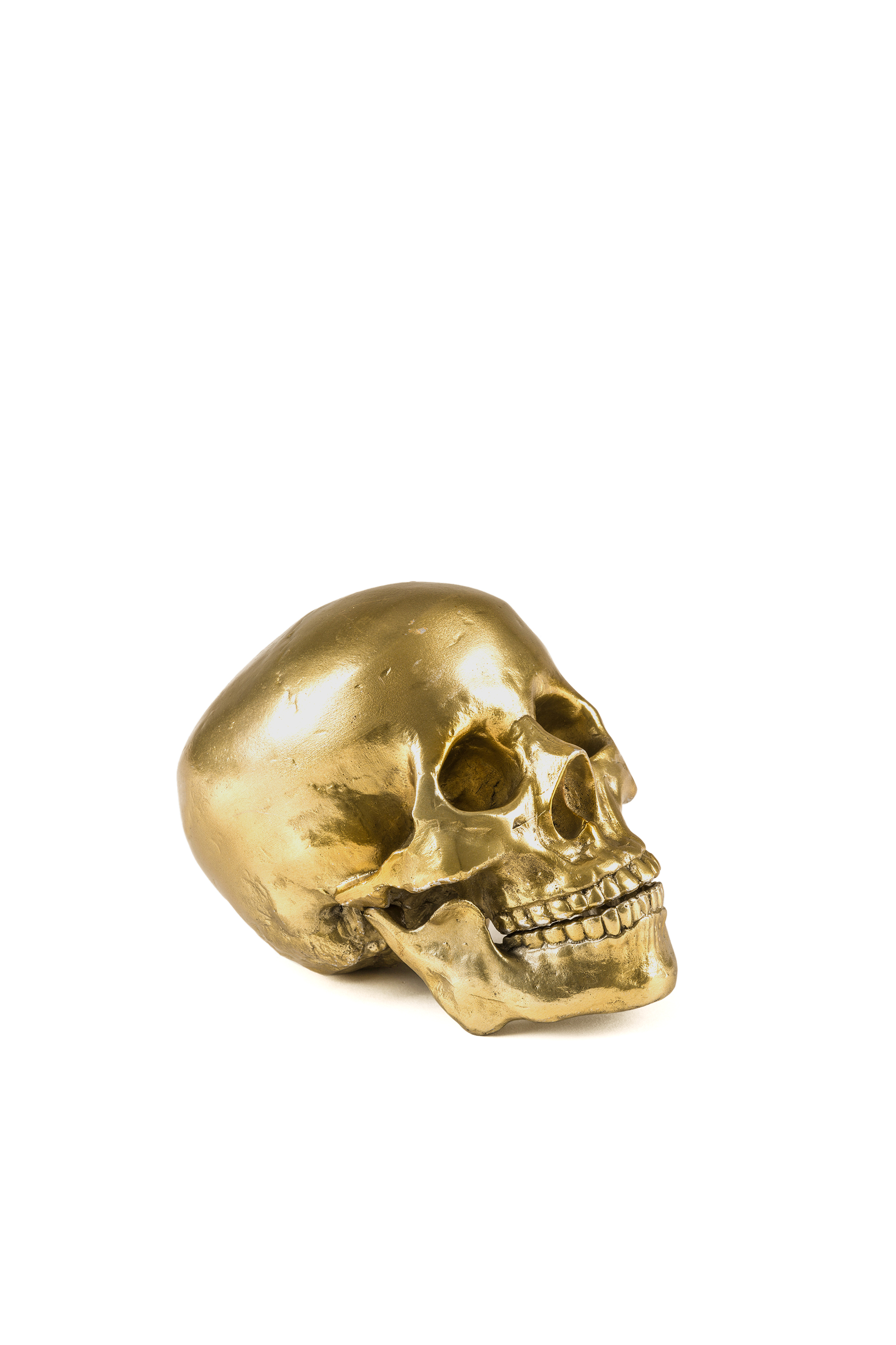10891 Wunderkammer, - Home Accessories