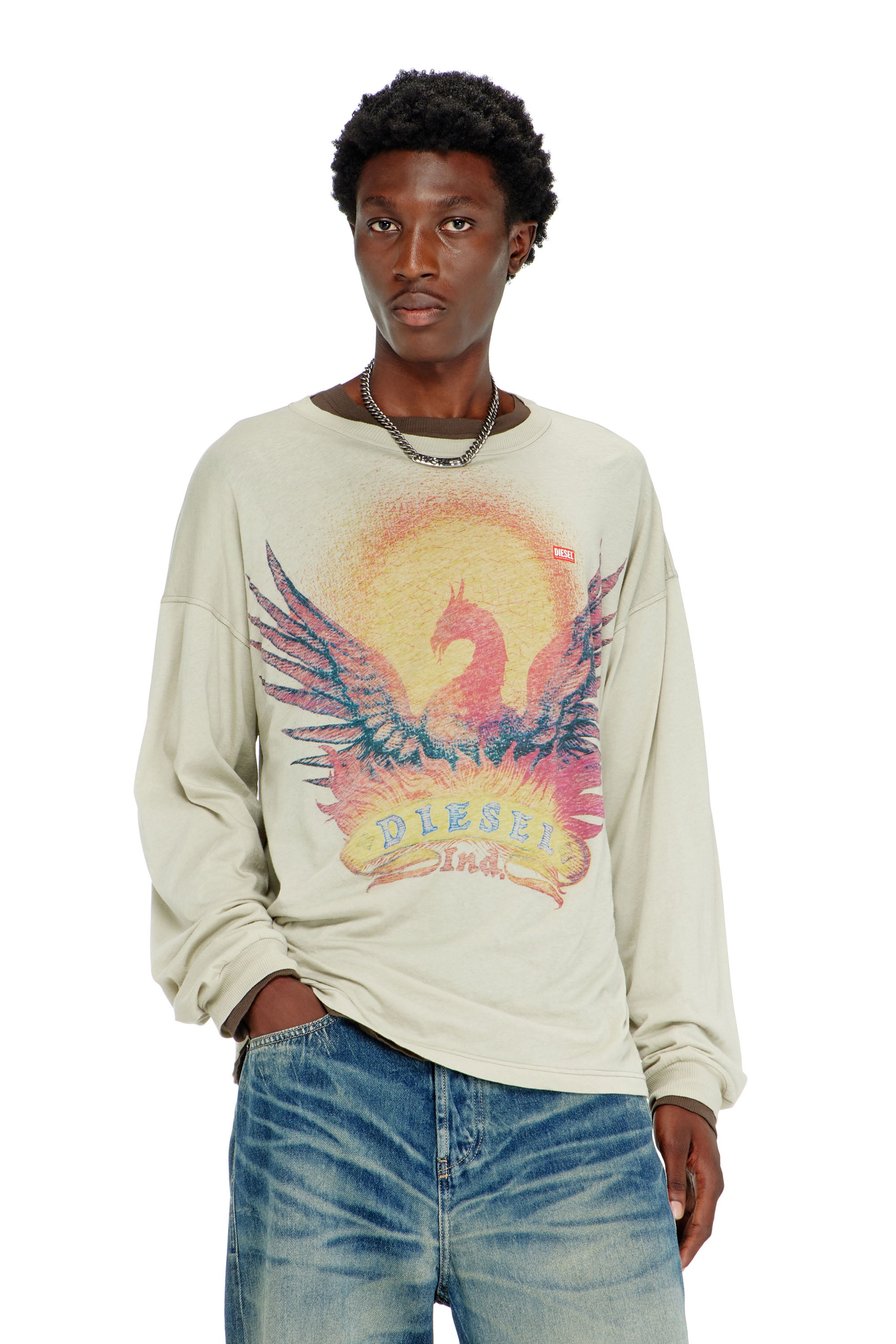 Diesel - T-BOXT-LS-AA1, Man's Long sleeve T-shirt with Phoenix graphic in Beige - 3