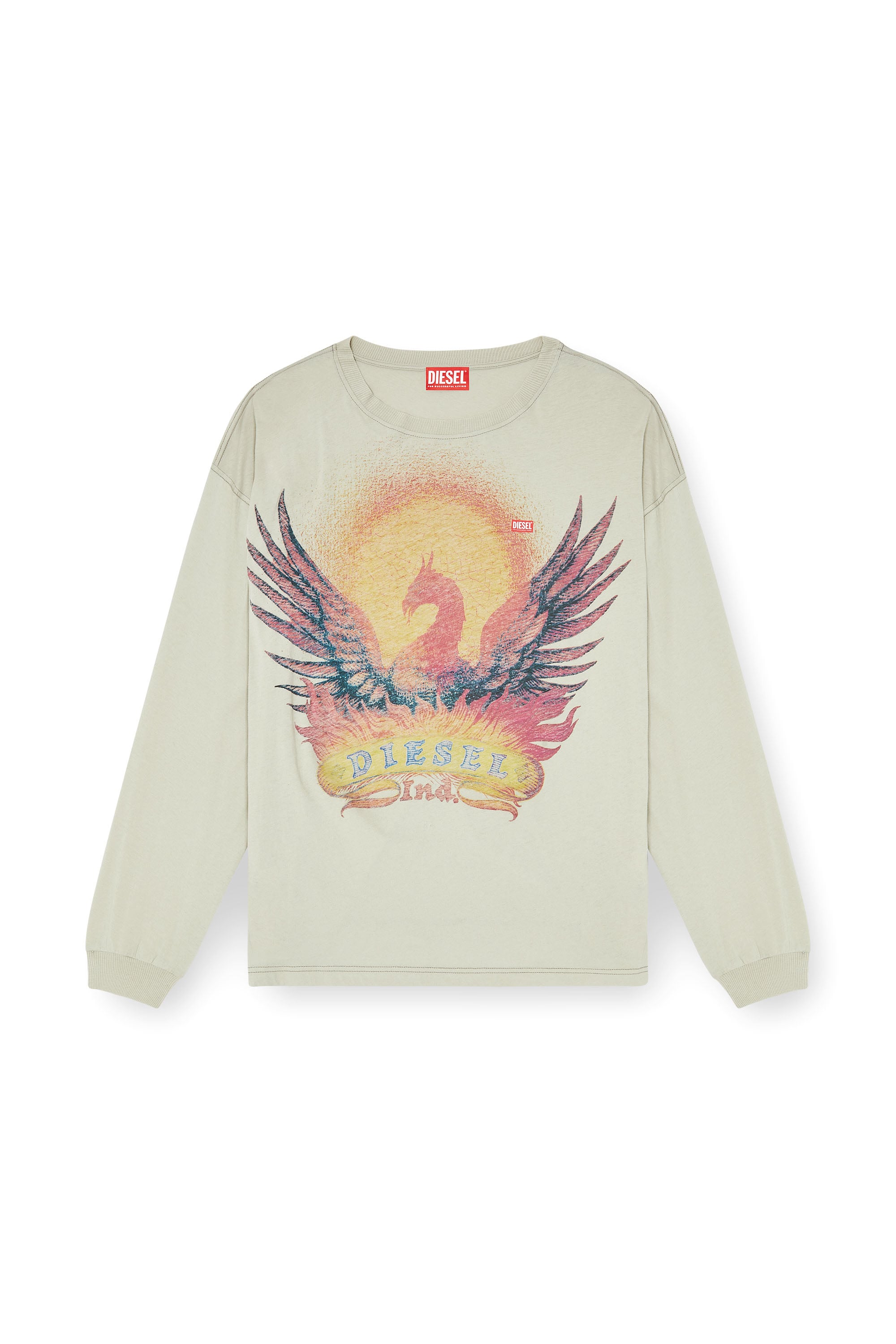 Diesel - T-BOXT-LS-AA1, Man's Long sleeve T-shirt with Phoenix graphic in Beige - 2