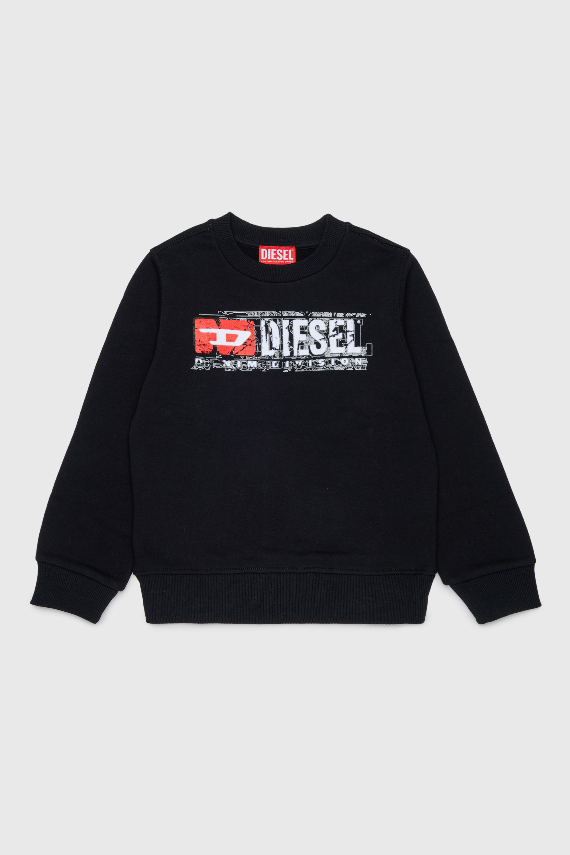 Sweatshirt with distressed-effect logo