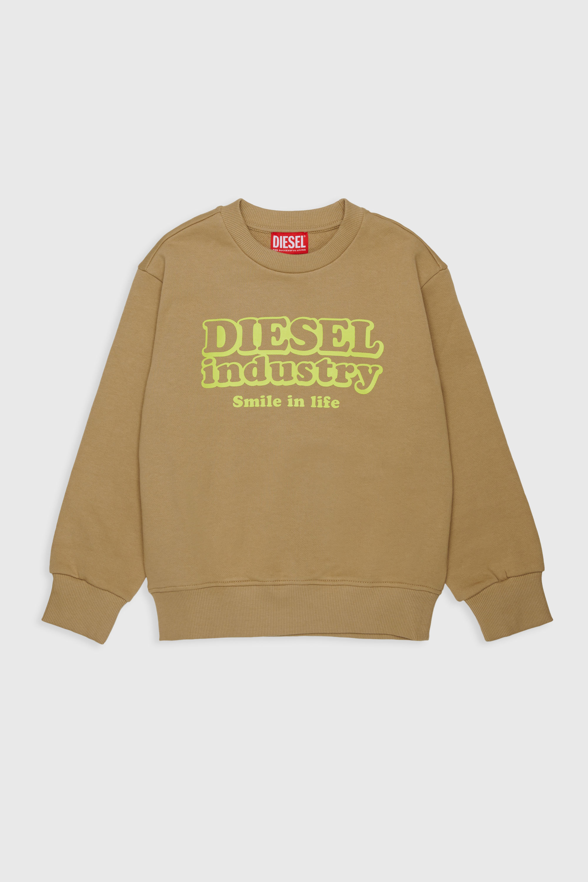 Sweatshirt with Diesel Industry print