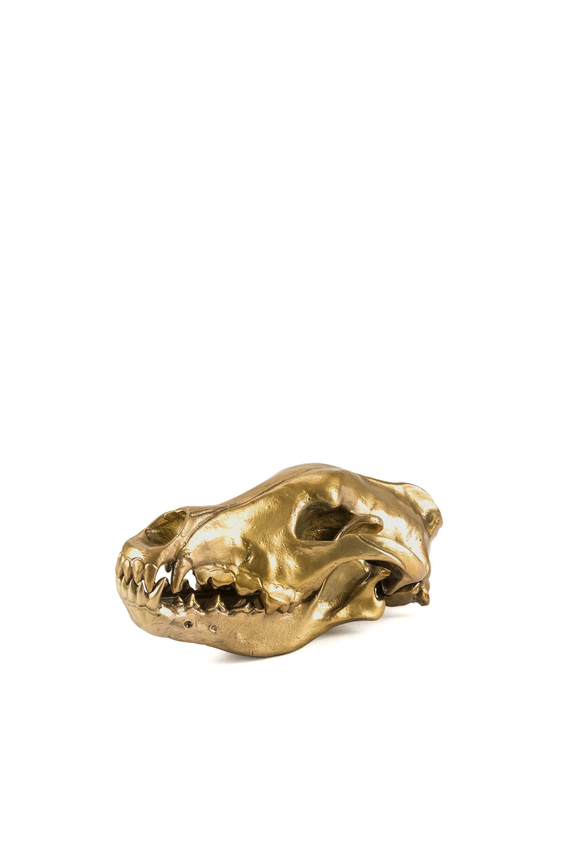10892 Wunderkammer, Gold - Home Accessories