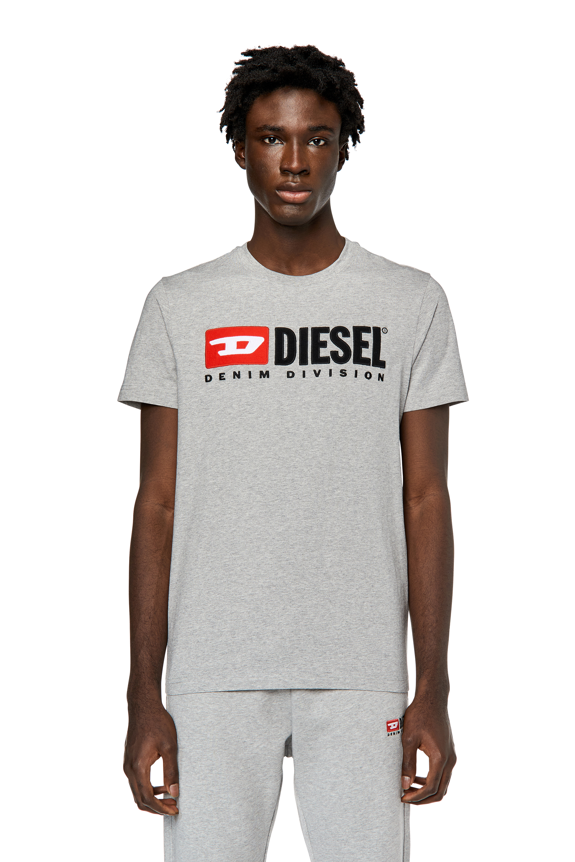 Diesel - T-DIEGOR-DIV, Grey - Image 1