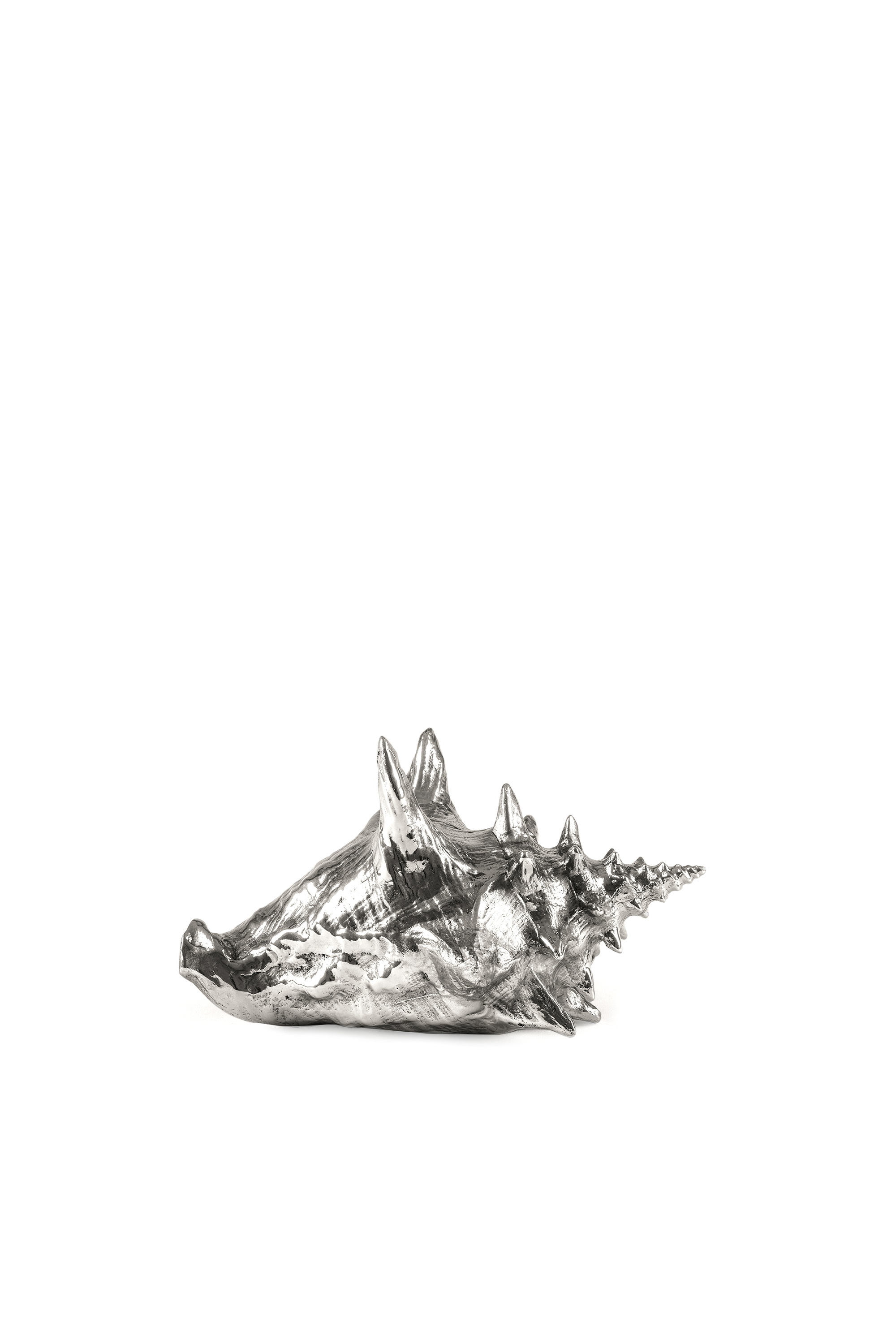 10894 WUNDERKAMMER, Silver - Home Accessories